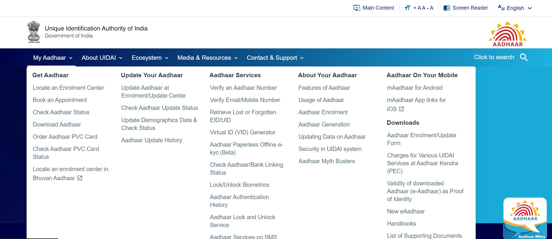 Particulars in Aadhaar enrolment