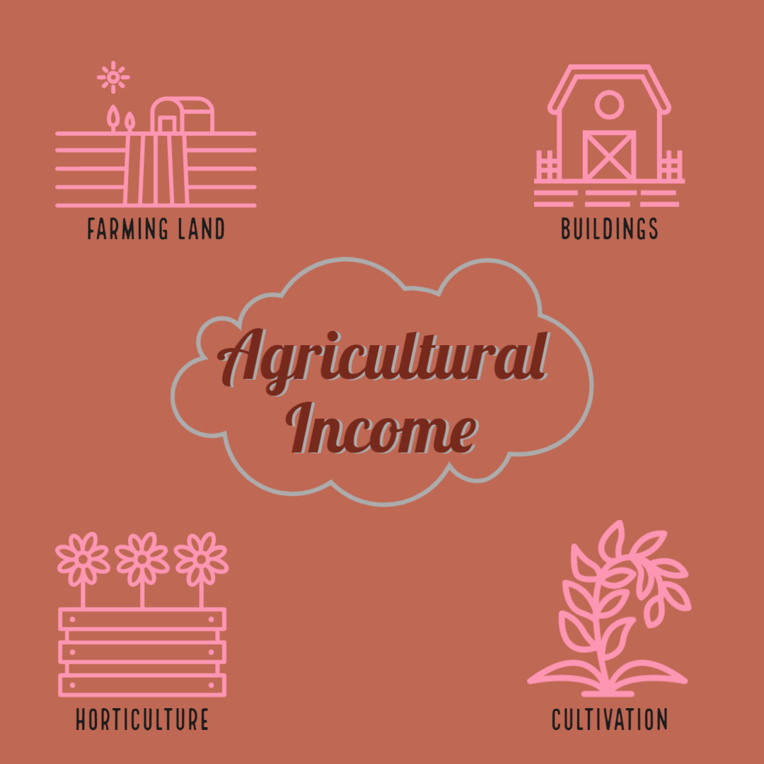 Agricultural Income