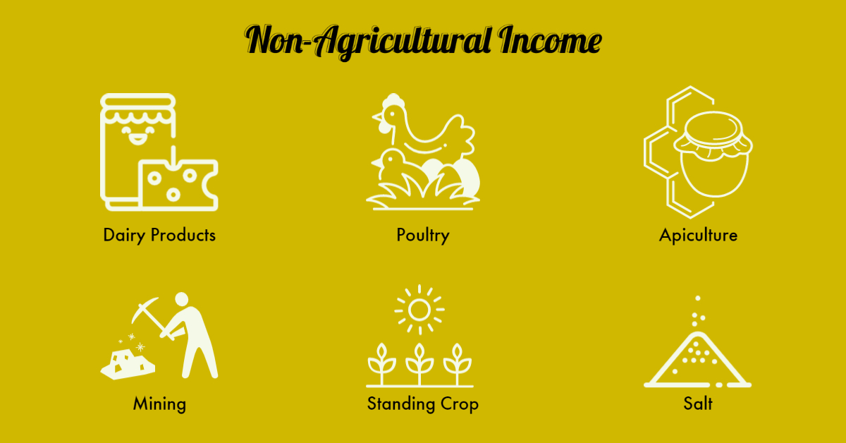 Non-Agricultural Income